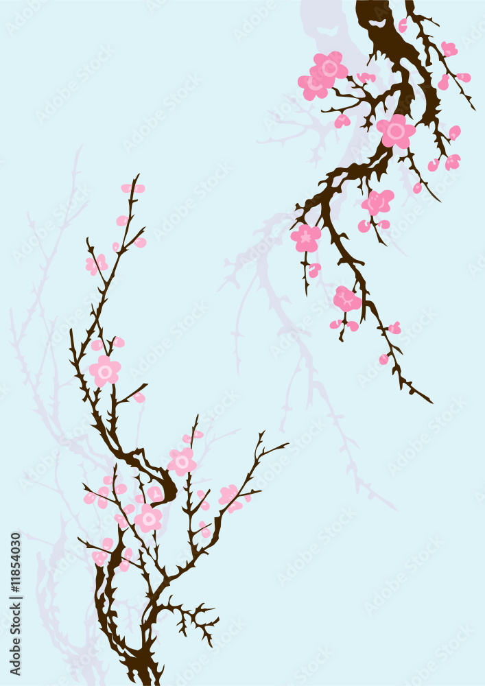 sakura branch with flowers