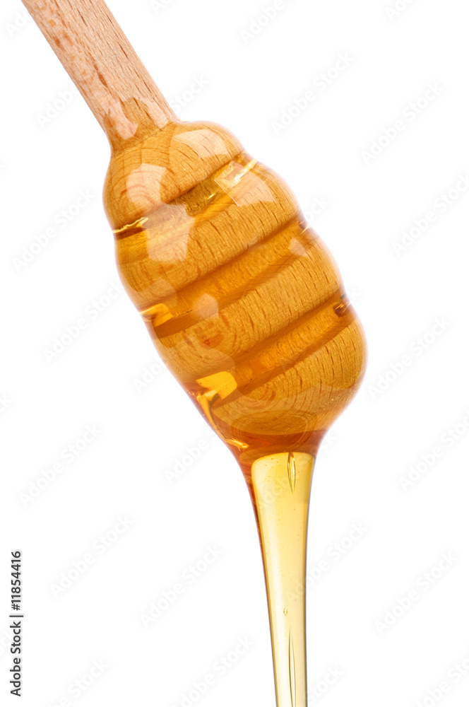 Honey Honey