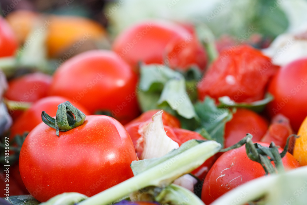 Tomaten auf Komposthaufen Tomaten auf Komposthaufen