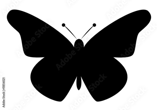 Schmetterling Vektor
