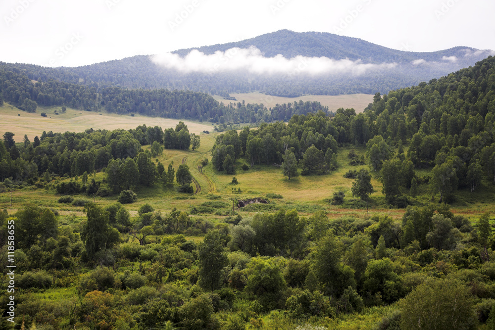 Obraz premium Landscape