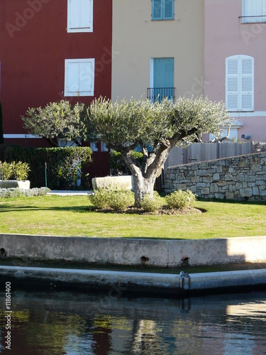 olivier port grimaud 2501092059 photo