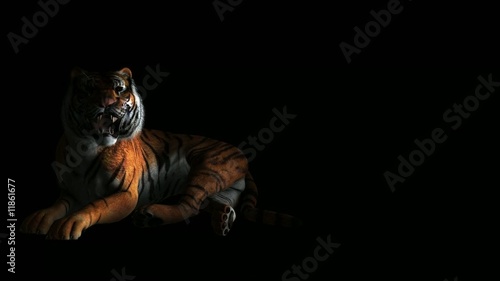 Le tigre A1