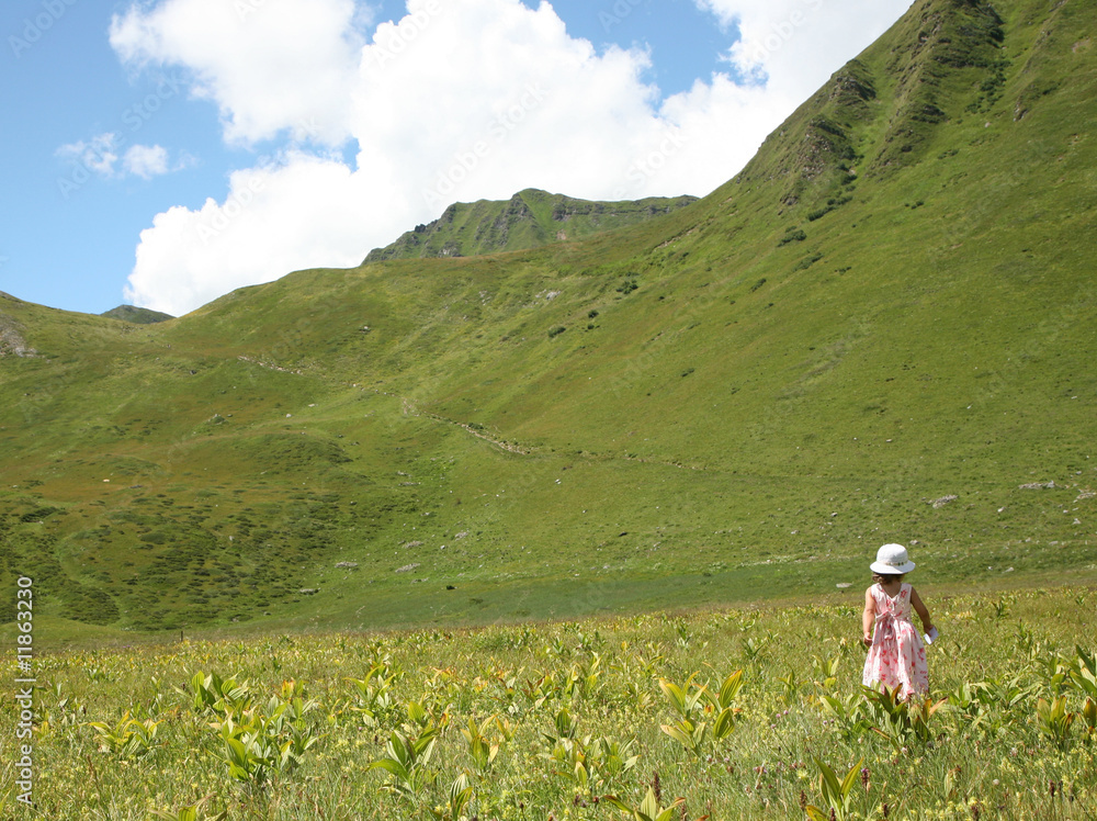 Fototapeta premium girl in the grass