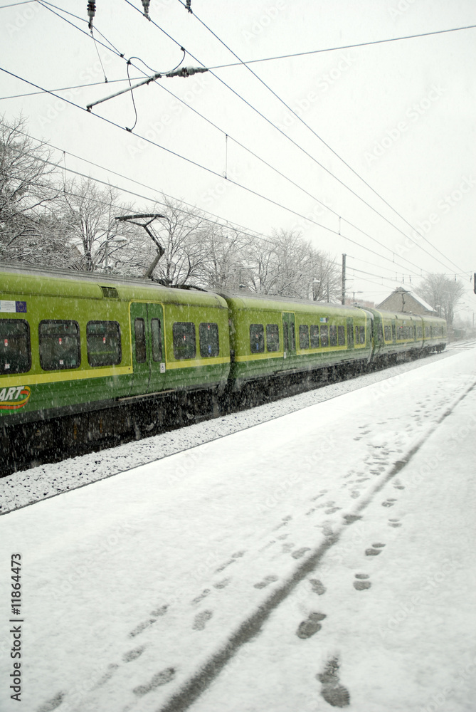 Snowy winter in Dublin 02.2009