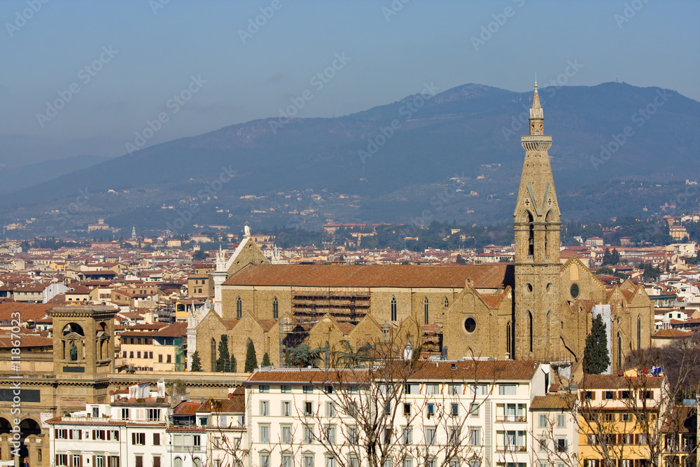 Città Di Firenze  E Basilica Di Santa Croce