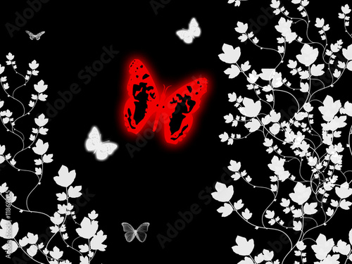 Photography red butterfly