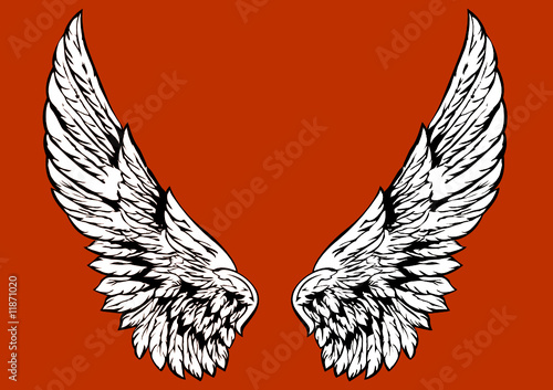 Detail Wings 01