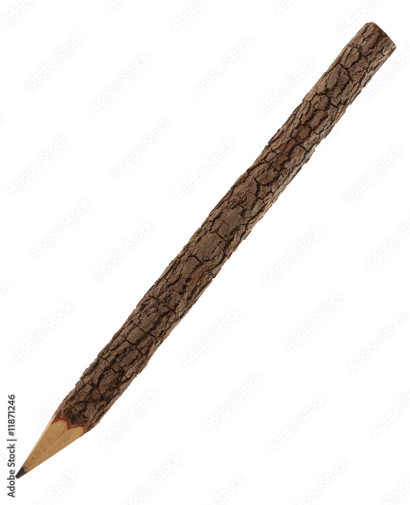 Branch Pencil Branch Pencil