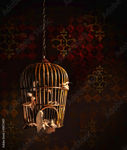 Принти на полотні Old wooden bird cage with feathers