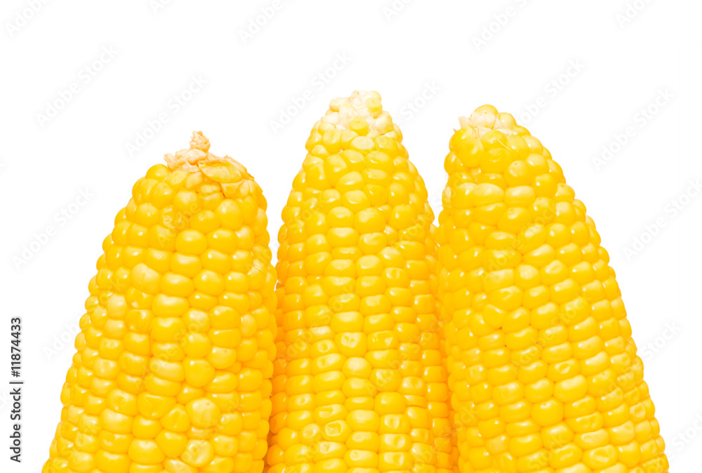 Obraz premium Corn cobs isolated on the white background