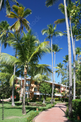 Coconut Palm Trees at a Beautiful Tropical Resort © chasingmoments