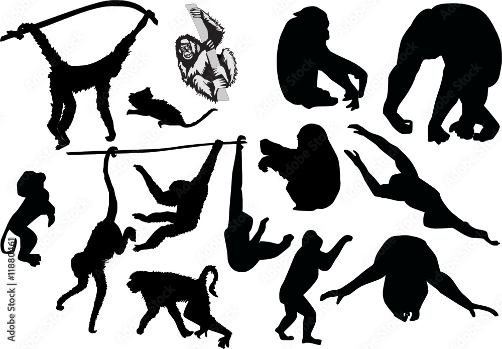 monkey silhouettes set Stock Vector | Adobe Stock