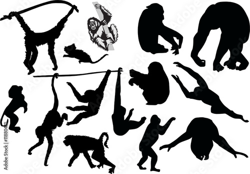 monkey silhouettes set