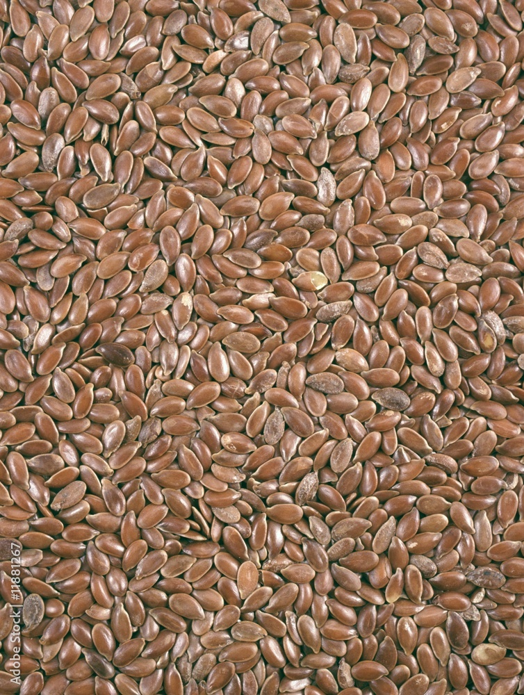 Closeup view of flix seeds - background Closeup view of flix seeds - background