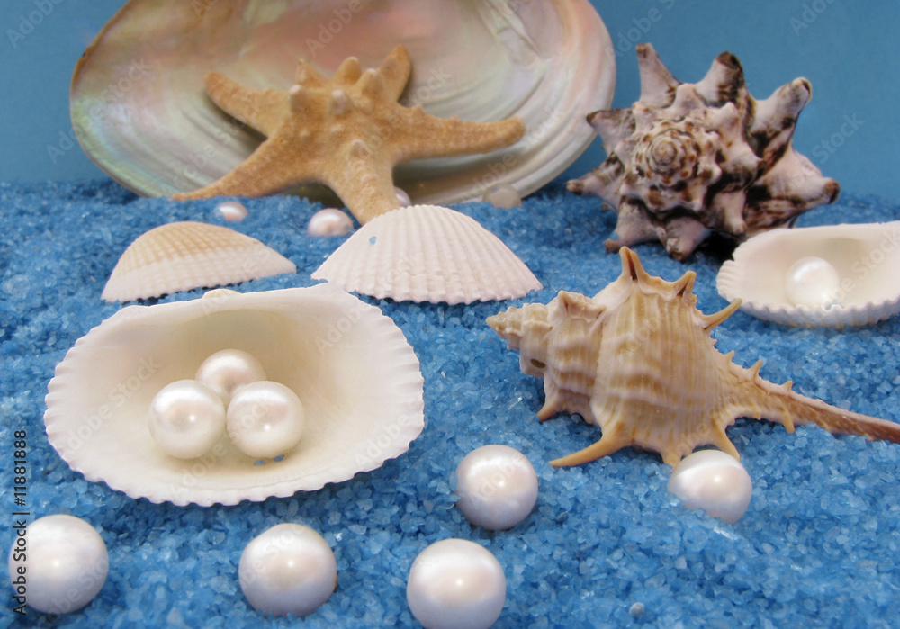 under the sea under the sea