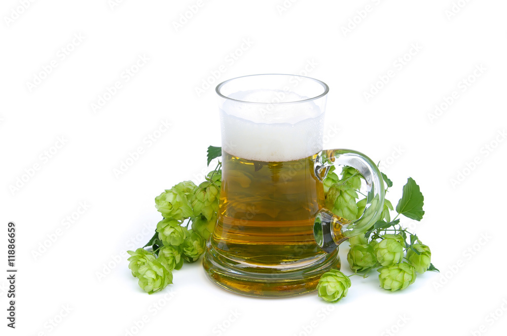 Bier - beer 02 Bier - beer 02