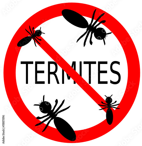 termites interdit