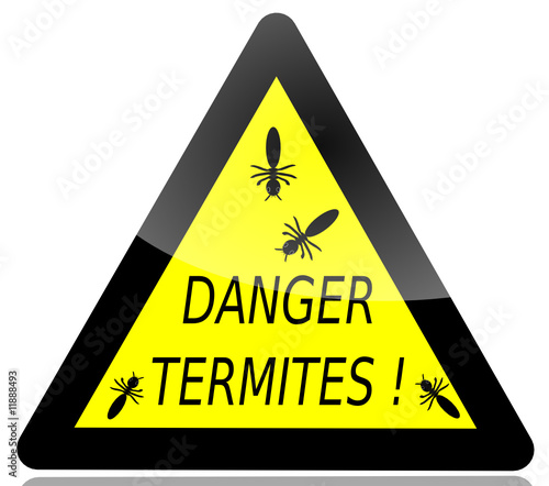 danger termites 2