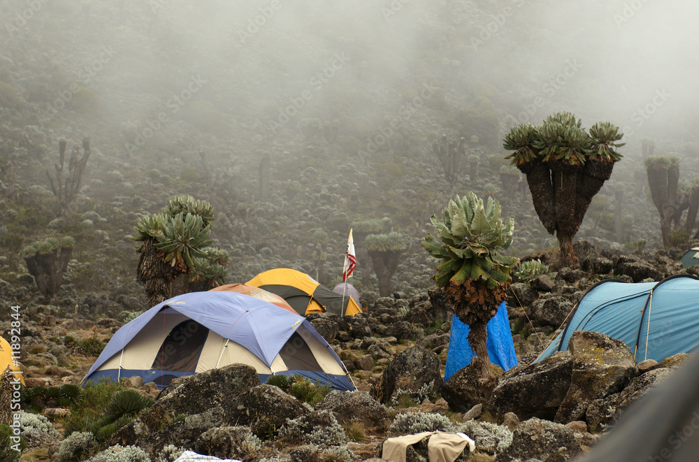Fototapeta premium Barranco camp on Machame route. Mount Kilimanjaro, Tanzania.