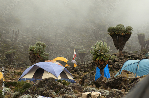 Barranco camp on Machame route. Mount Kilimanjaro, Tanzania.