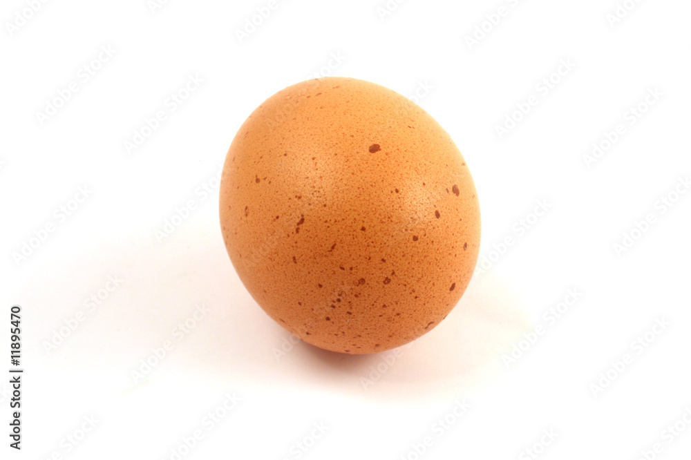 egg egg