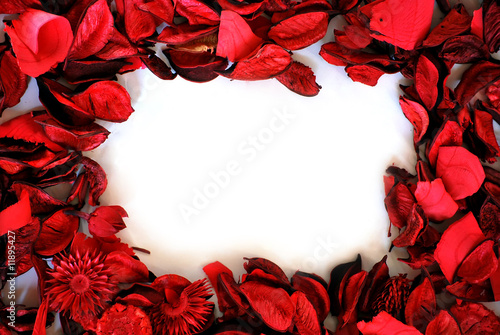 dry flowers