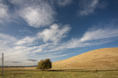 Cloudy blue sky, hill and lone tree
