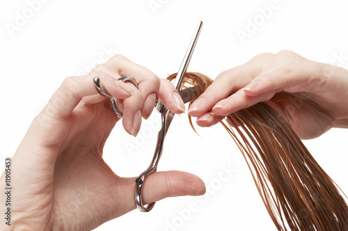 hair stylist cutting wet hair with professional scissors photo