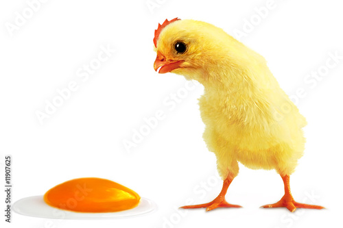 Cockalorum and incident with egg