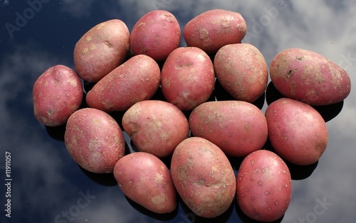 Close-up of Rooster potatoes