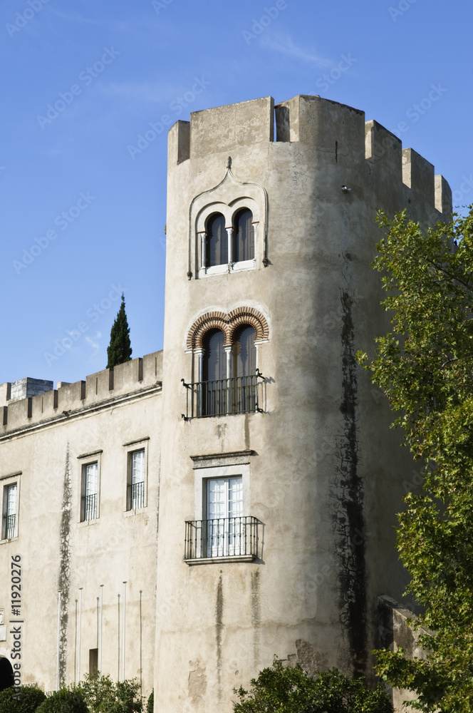Castle of Alvito