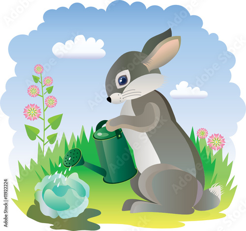 Rabbit