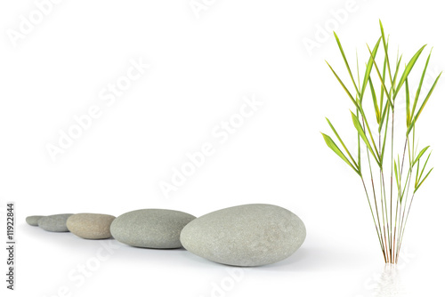 Canvas Print Zen Power
