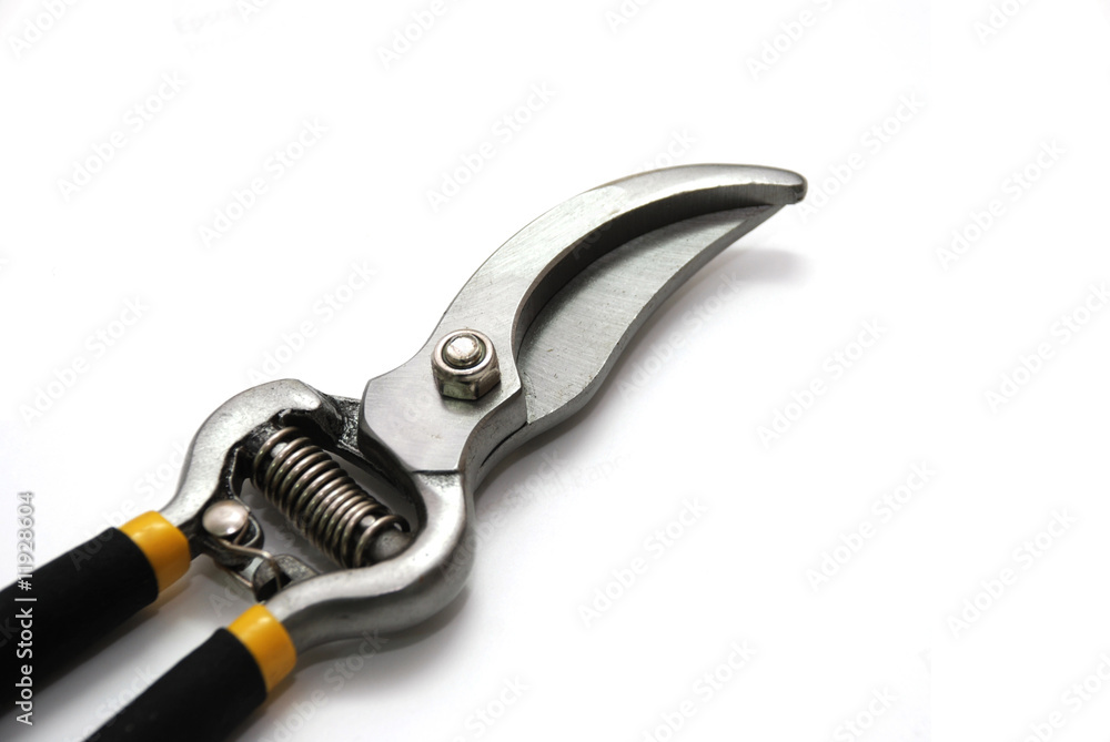 Obraz premium Scissor