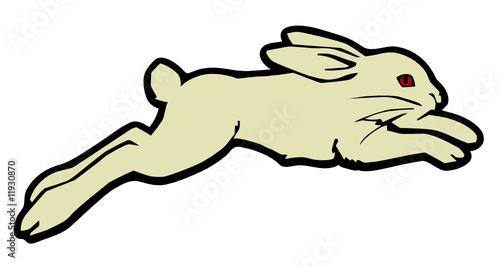 rabbit