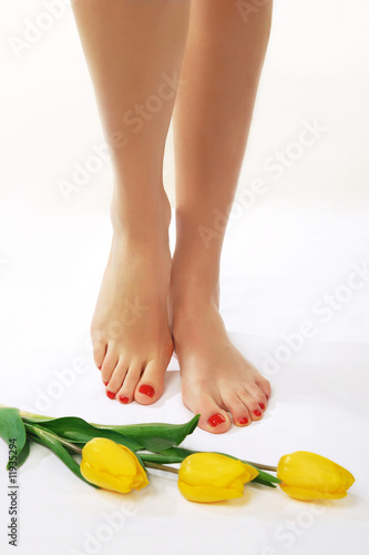 Pedicured feet with yellow tulips