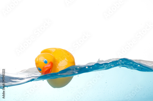 Fotografie Rubber Duck in Water