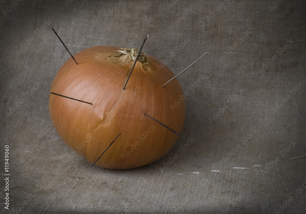 Onion with needles