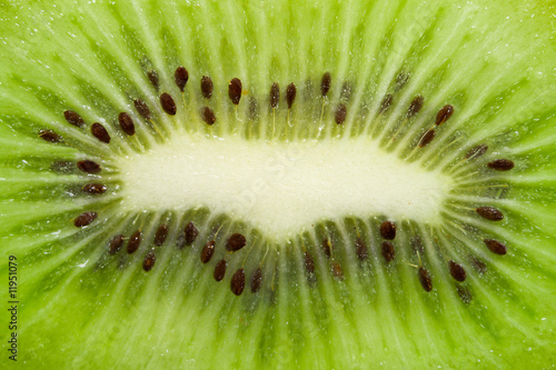 kiwi texture