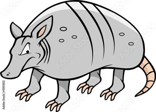 armadillo