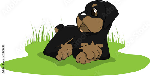 vector cartoon of rottweiler puppy