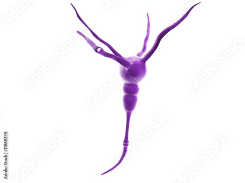 Obraz na płótnie Neuron Cell