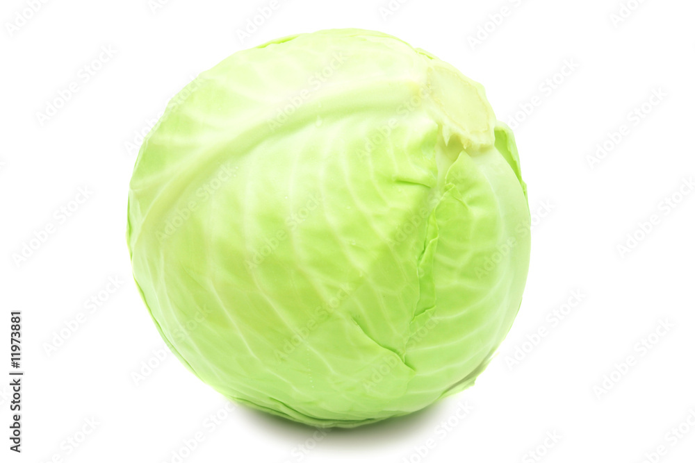 Cabbage isolated on white background. Cabbage isolated on white background.