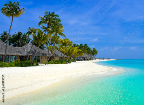 Beach bungalows on a tropical island