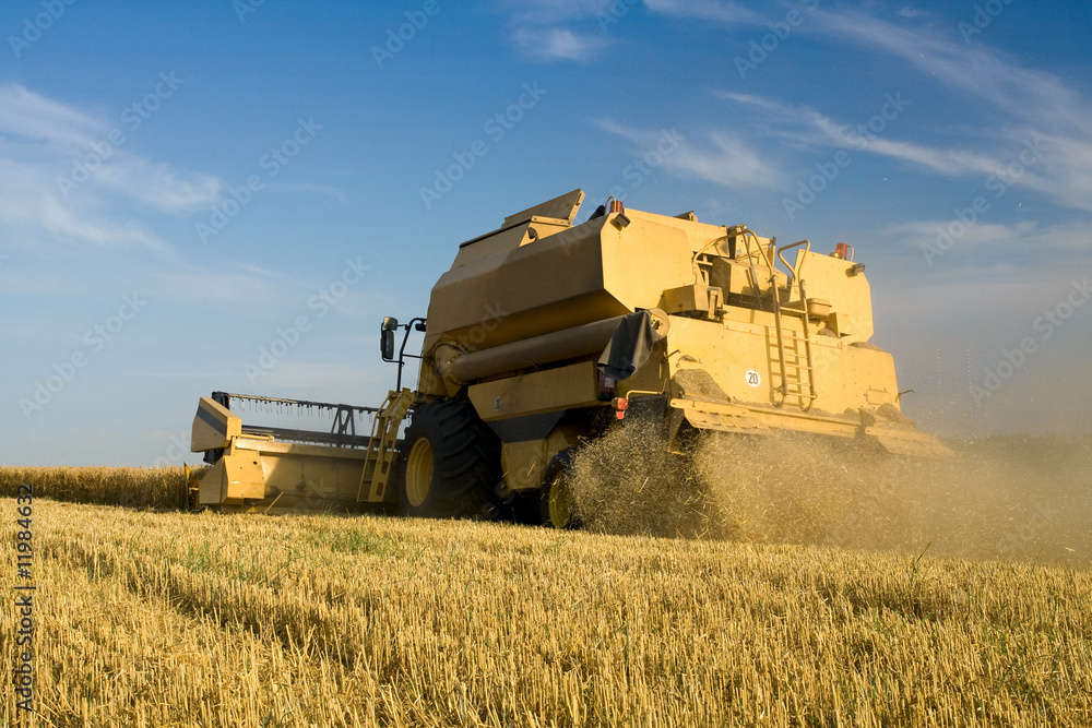Fototapeta premium Agriculture - Combine