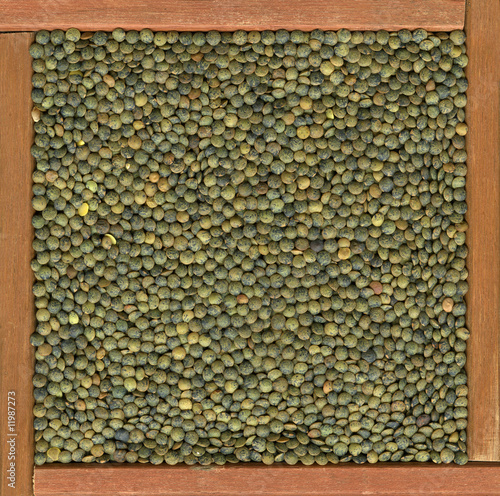 French green lentils background