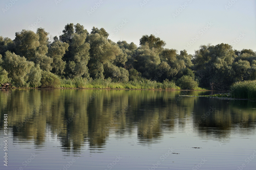Danube Delta landscape