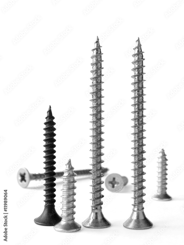 assorted screws assorted screws