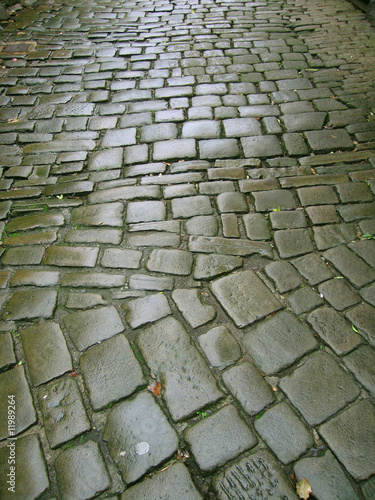 Cobblestone background after rain photo